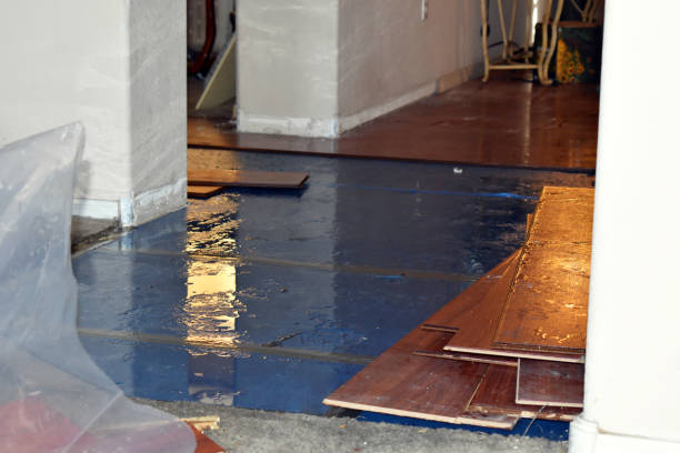Professional Emergency Water Damage Restoration technician working in Austin, IN